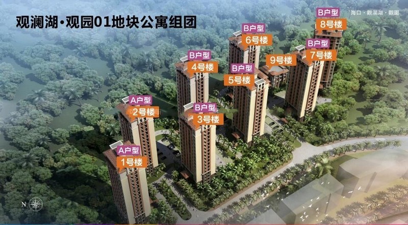 1号地块公寓组团楼栋分布图