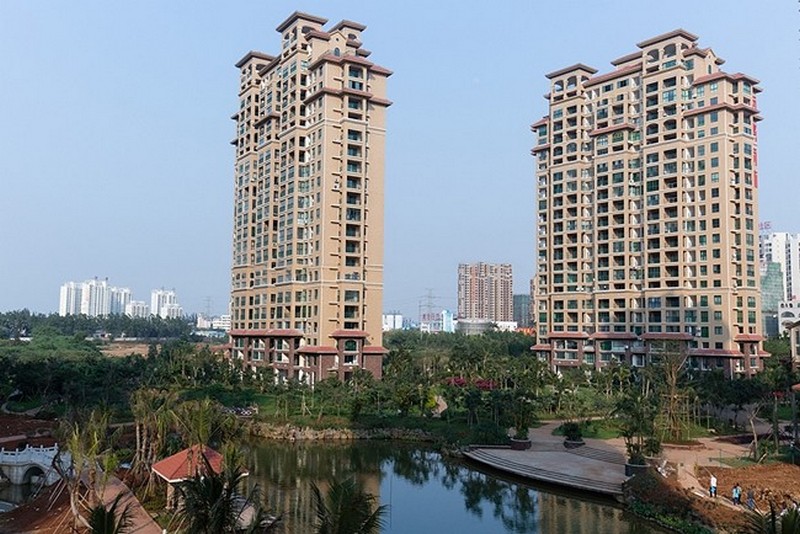 海湾雨林实景图01