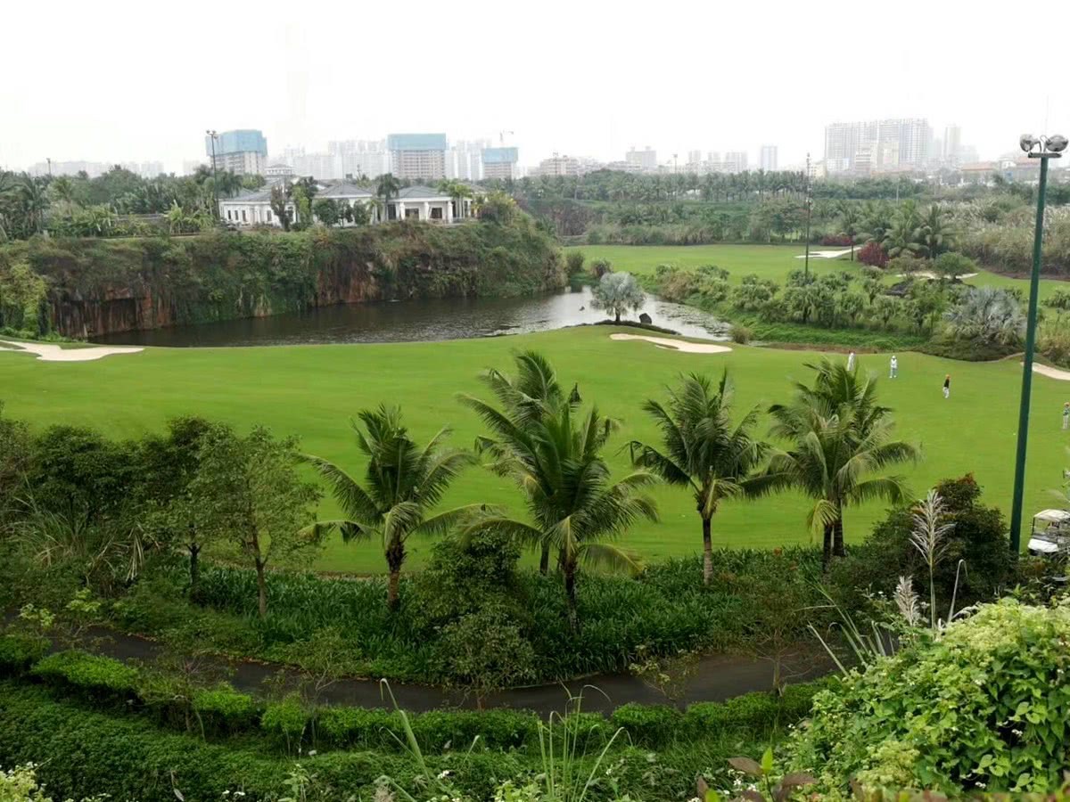 实景图 实景图