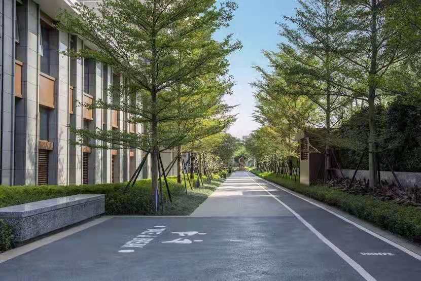 实景图10