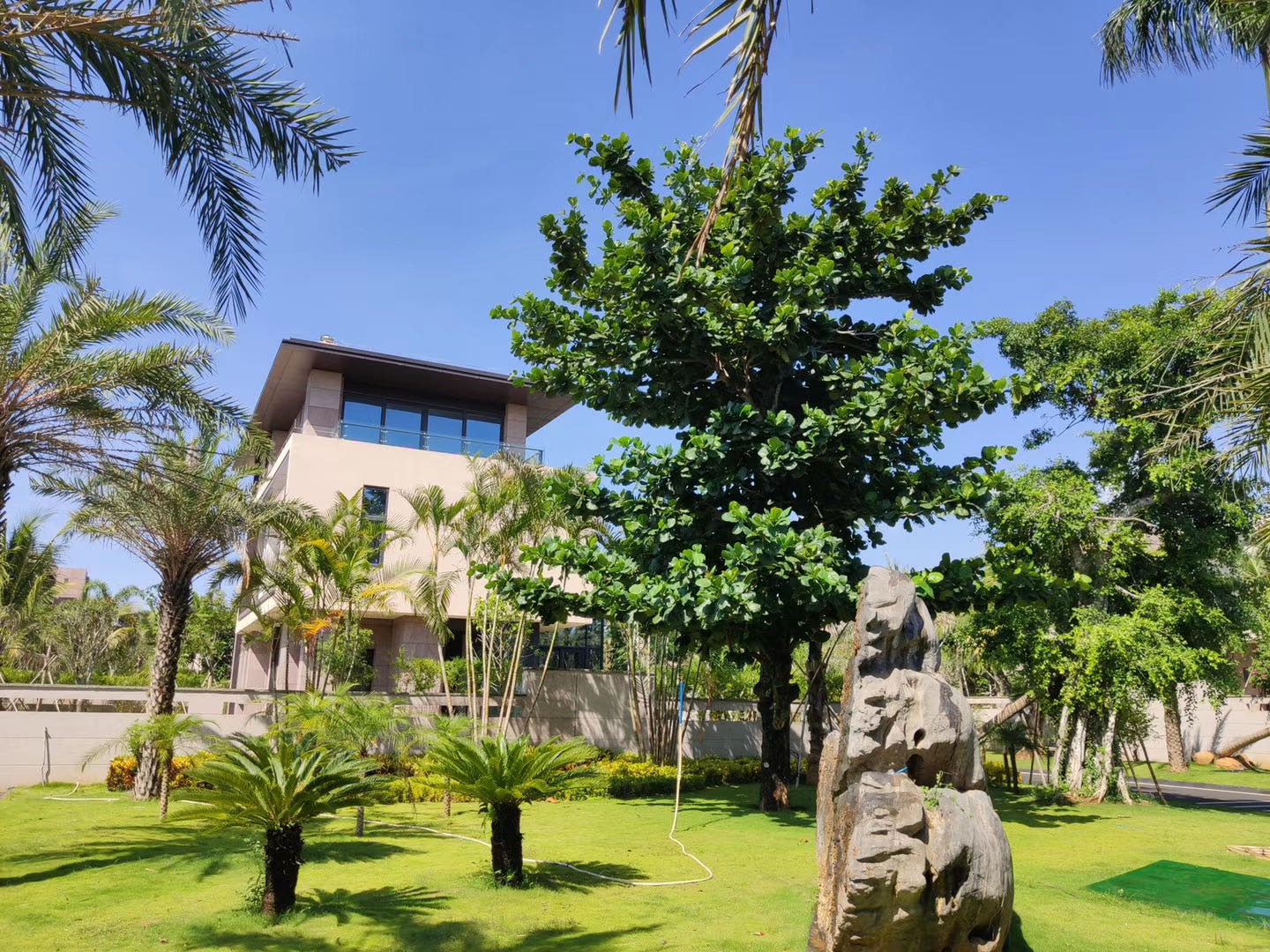 别墅实景图6