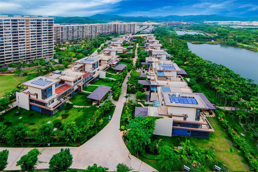 小区绿化实景图 小区绿化实景图