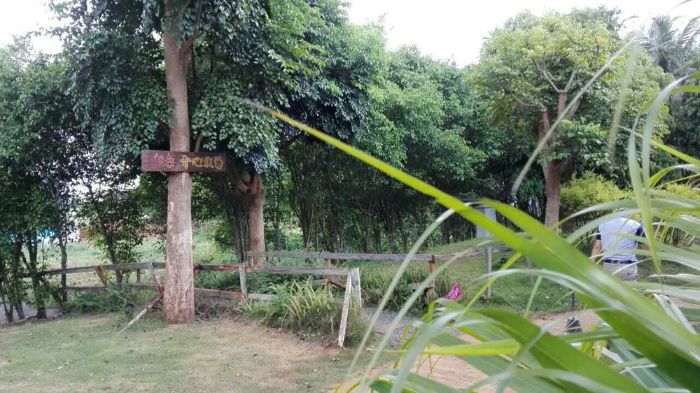 小区配套:开心农场