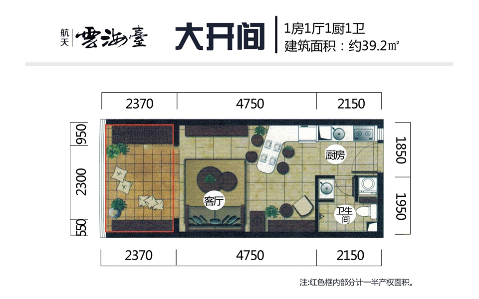 二期大开间 1房1厅1厨1卫 39.2㎡
