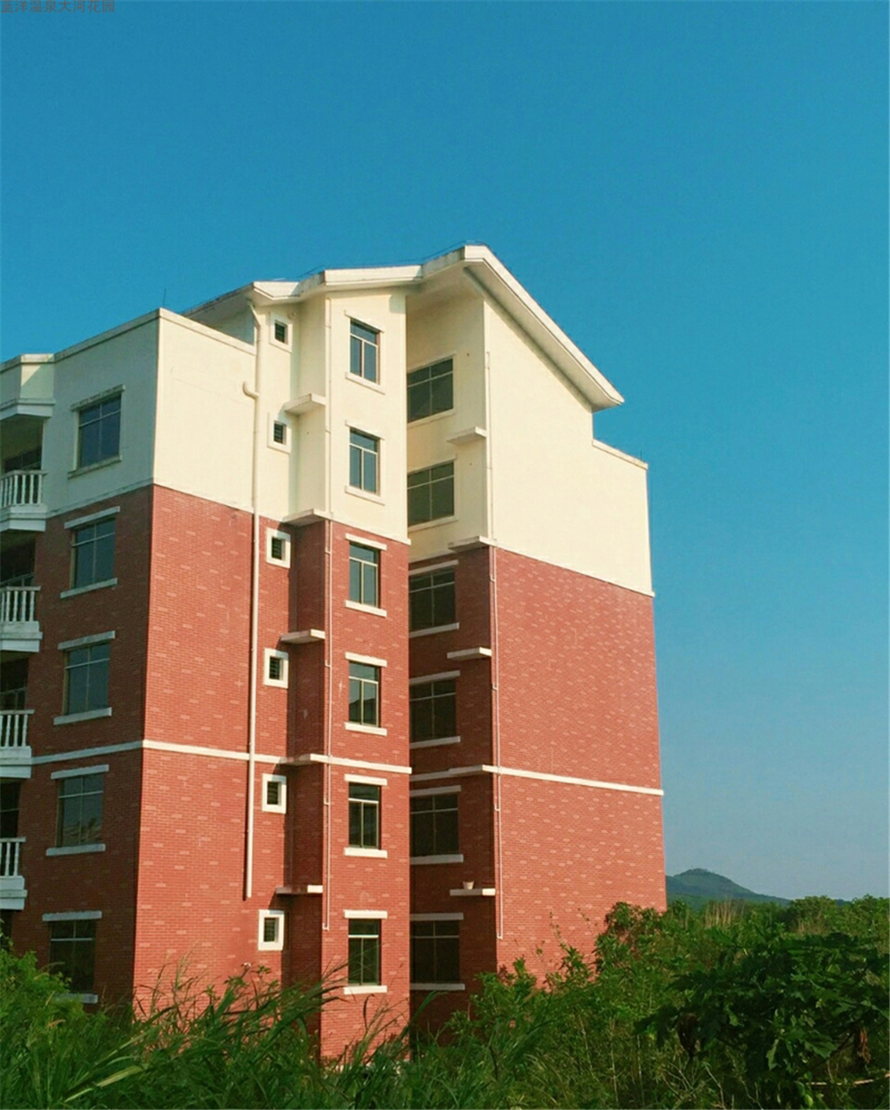 实景图4
