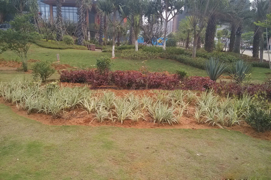 项目整体实景图..