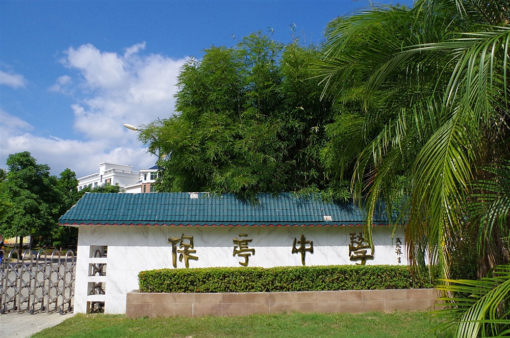 周边配套：保亭中学