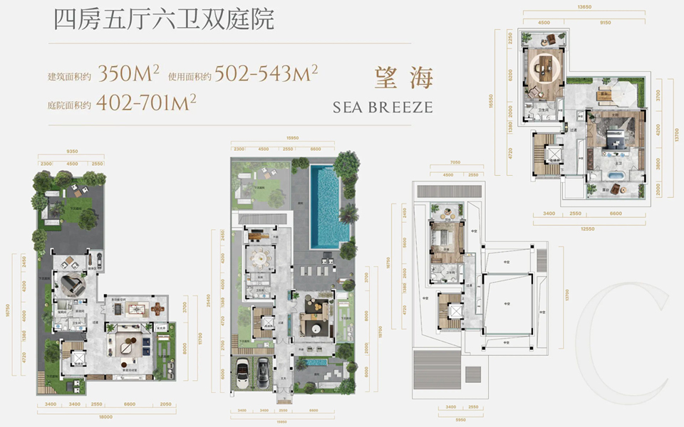 C户型 4房5厅6卫