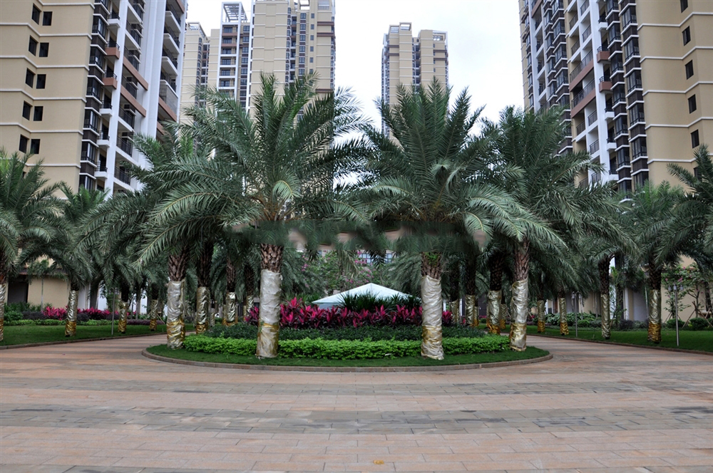 小区园林实景1