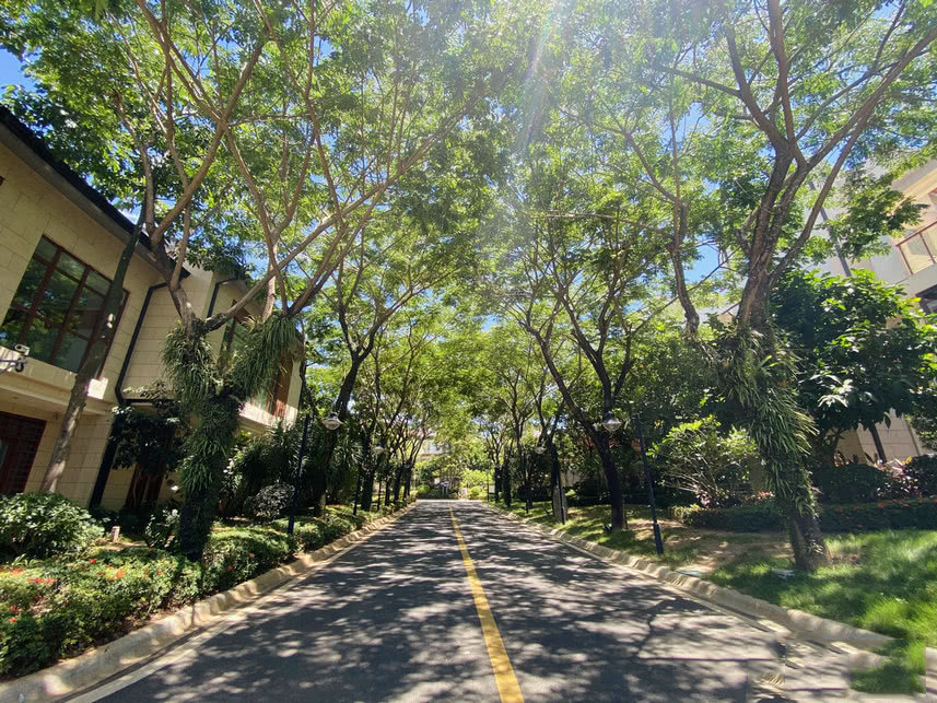 石梅半岛当前在售叠拼别墅