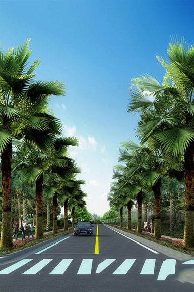 道路配套