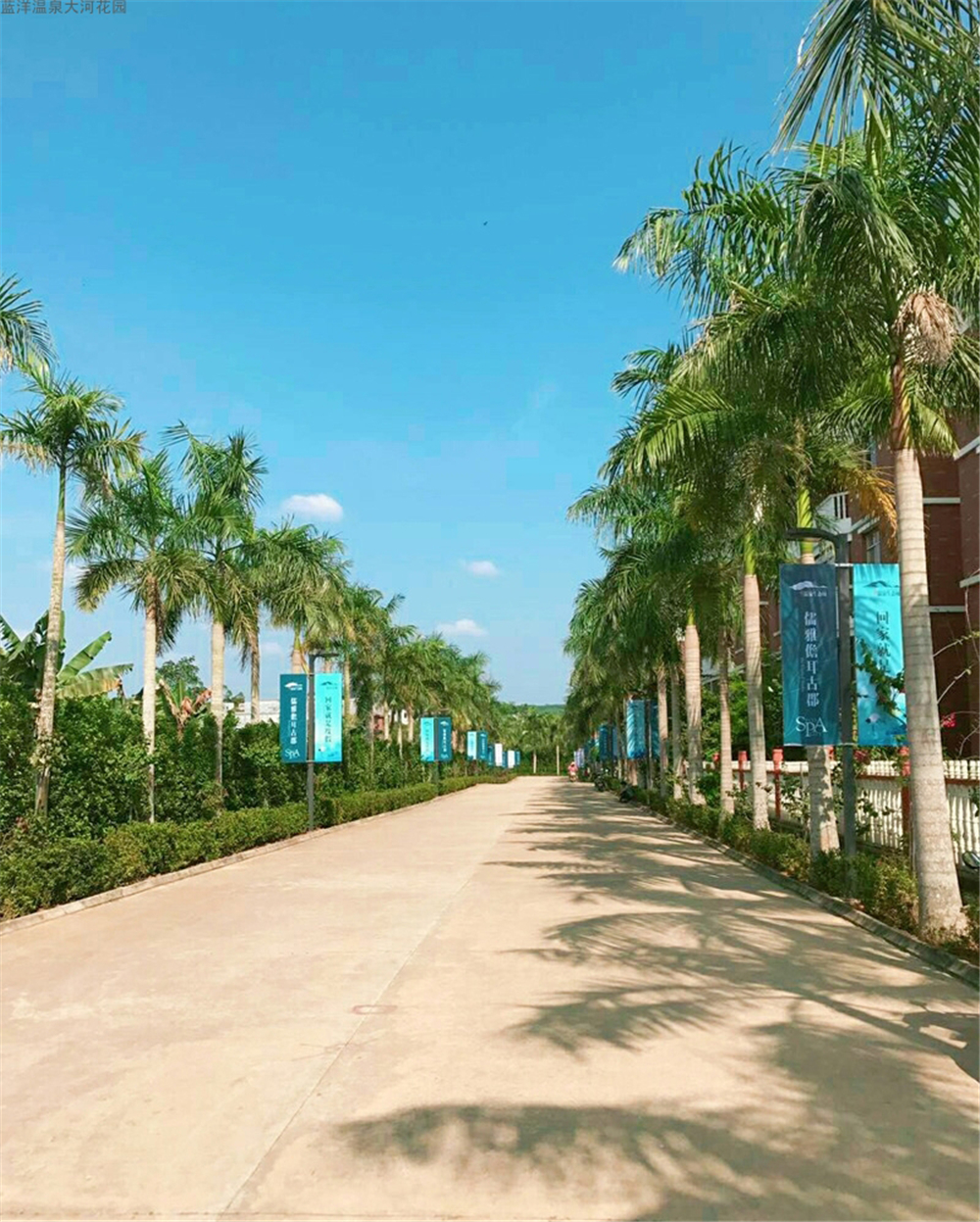 实景图1