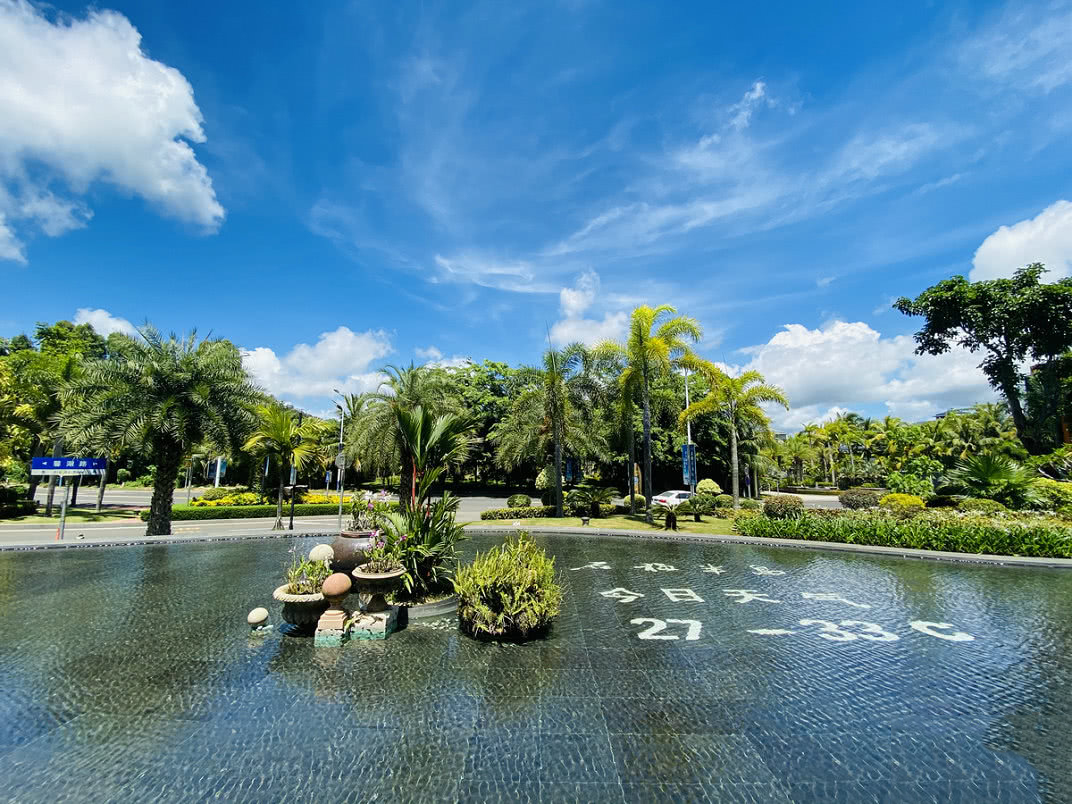 实景图10