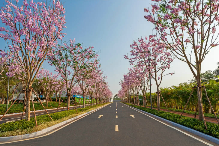 实景图14