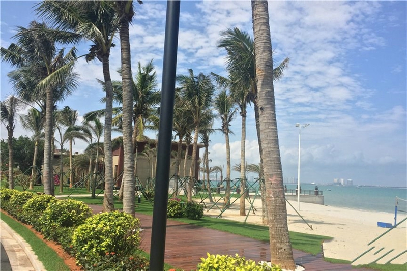 椰风浪琴实景图18