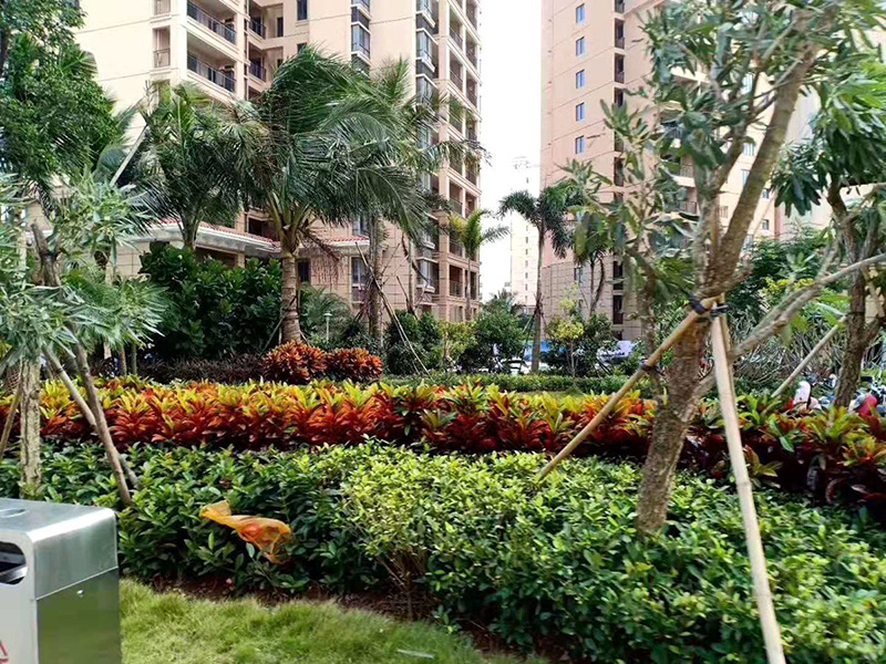 粤泰福嘉花园实景图4