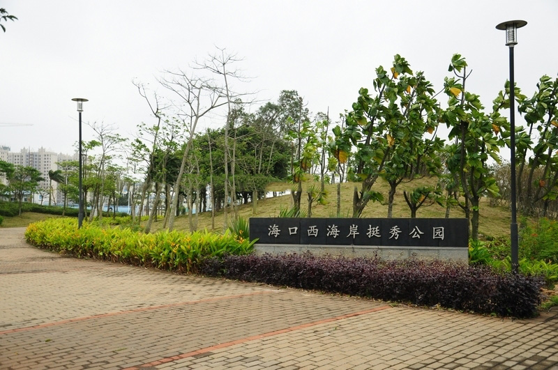 中信台达国际配套图12
