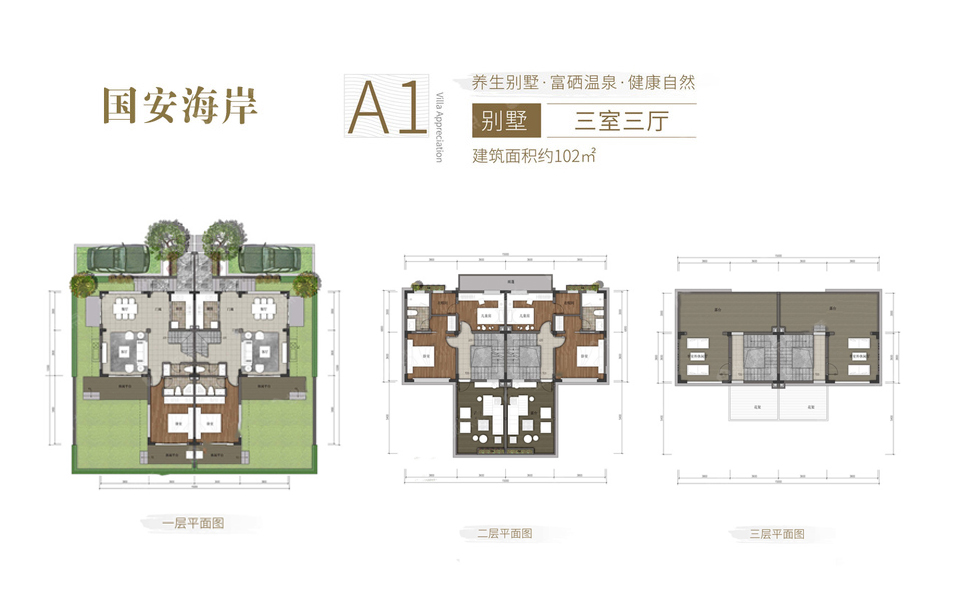 A1-01别墅户型 3室2厅1卫