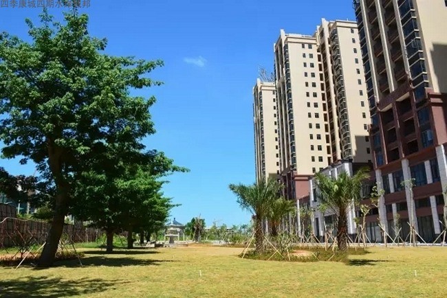 小区实景图13