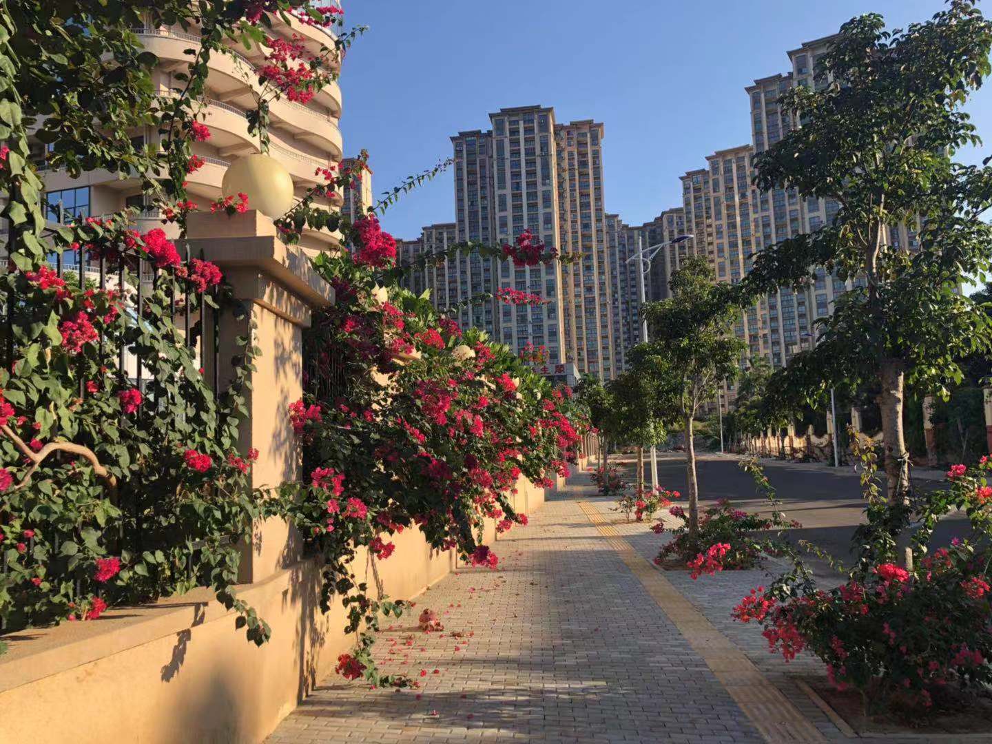 实景图5