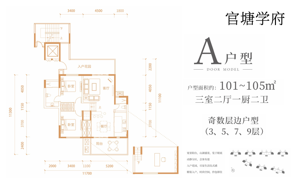 学府A户型
