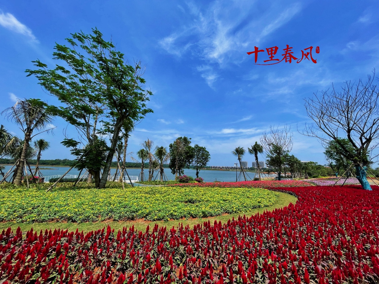 配套