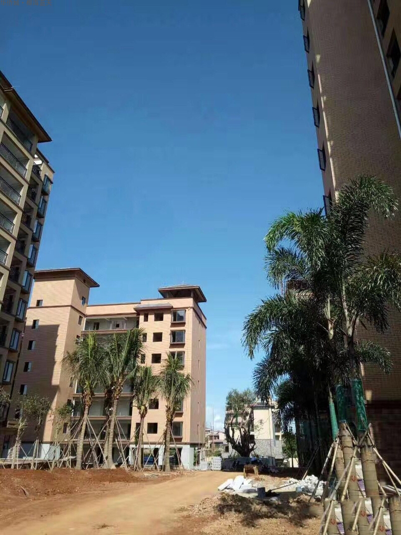 华侨城椰海蓝天实景图01