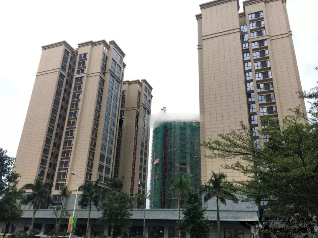 实景图