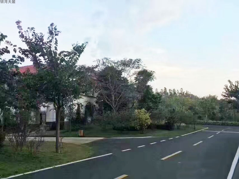 实景1