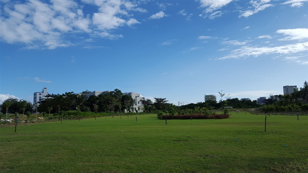 小区园林