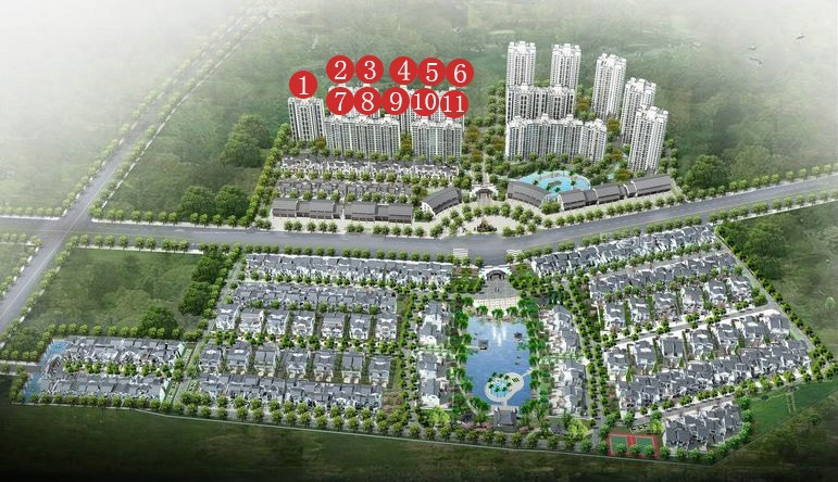 鸟瞰图