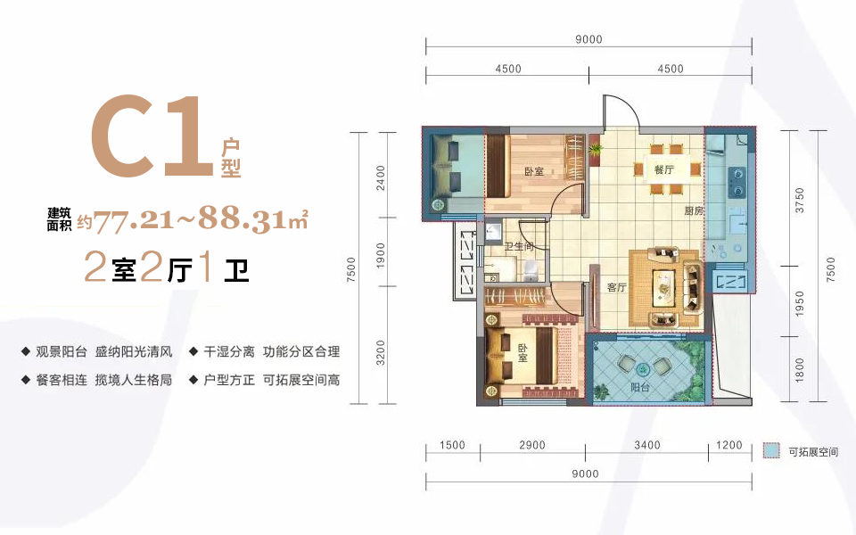 C1户型 2房2厅1卫