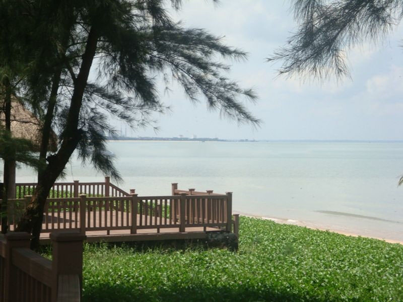 海滩 风景