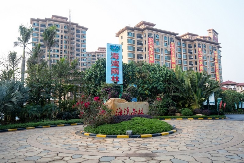 海湾雨林实景图03