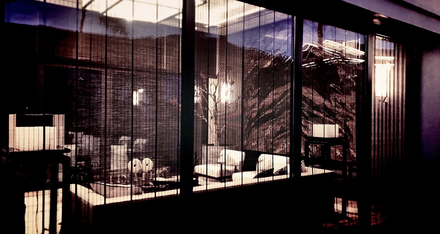 实景图7