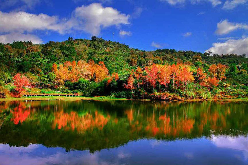 五指山河水