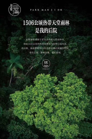 热带天堂雨林