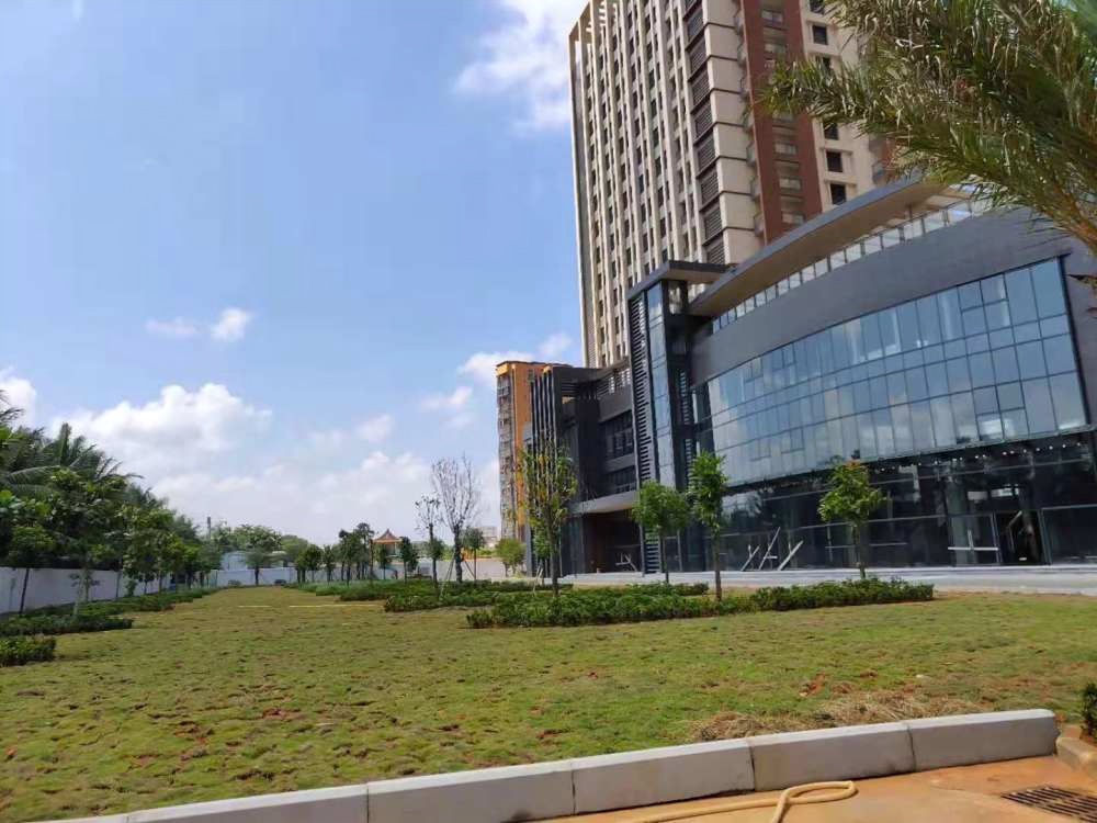 实景图6