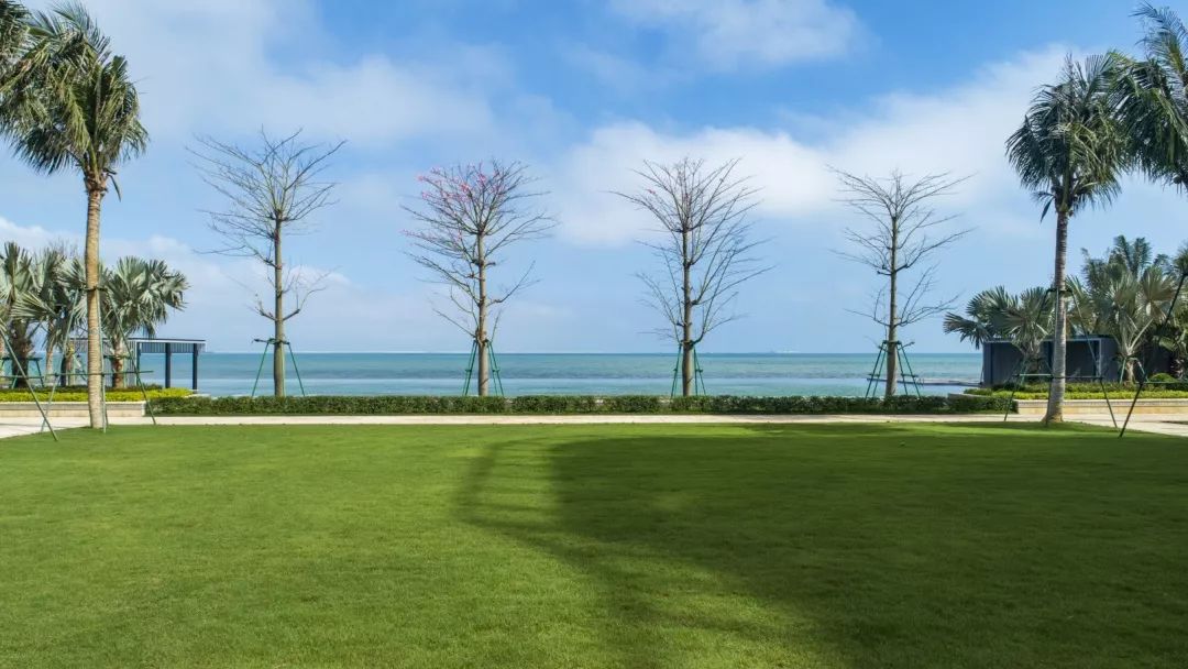 实景图1