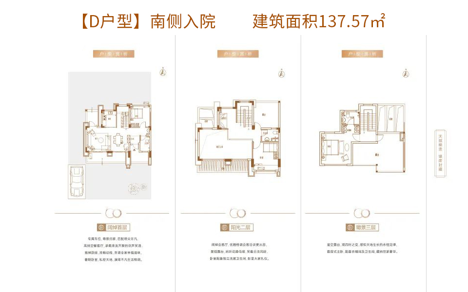 D户型-南侧入院 3+N房户型