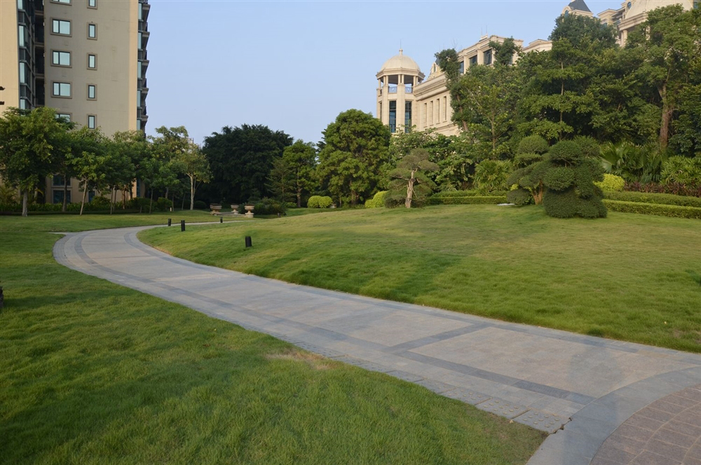 小区绿化实景5