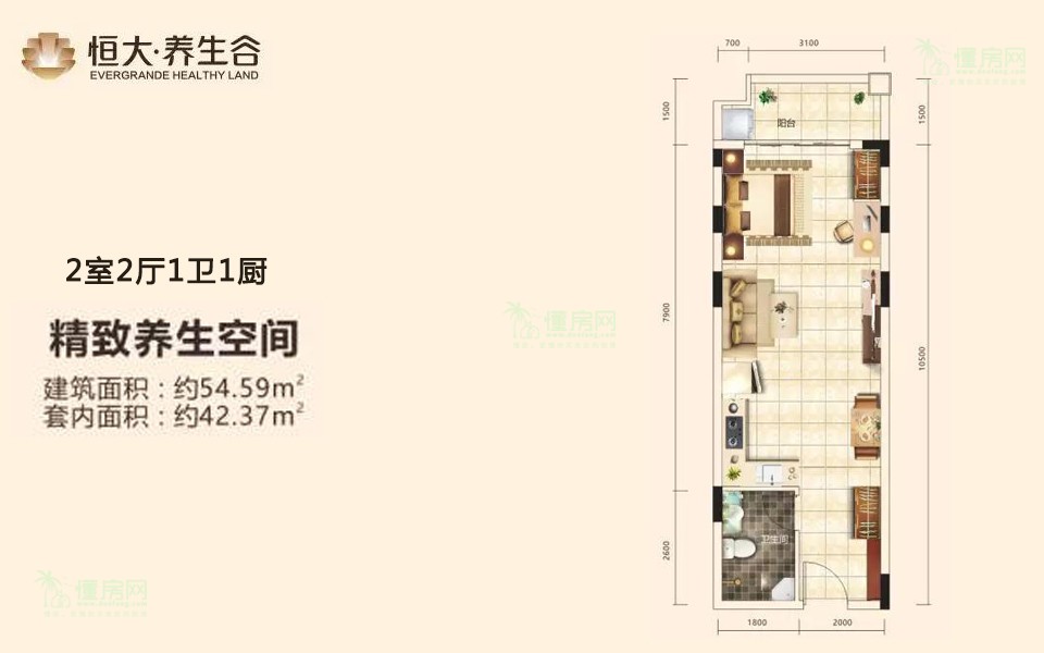 精致养生空间 2室2厅1卫1厨 54.59㎡