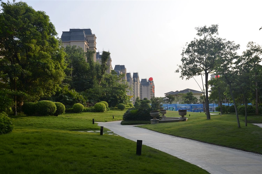 小区绿化实景4
