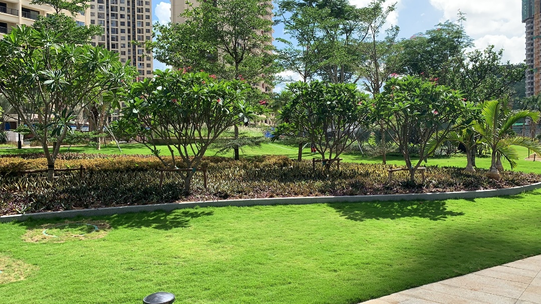 实景图3