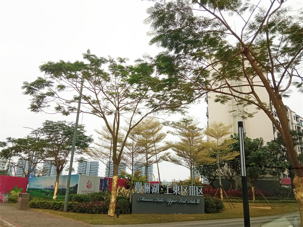 实景图2