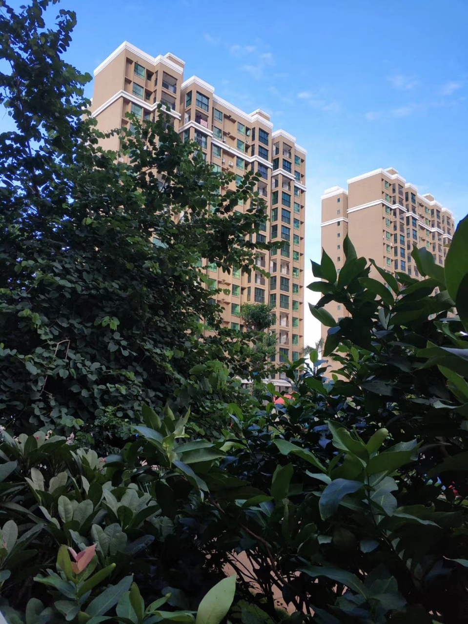 实景图-社区外立面2
