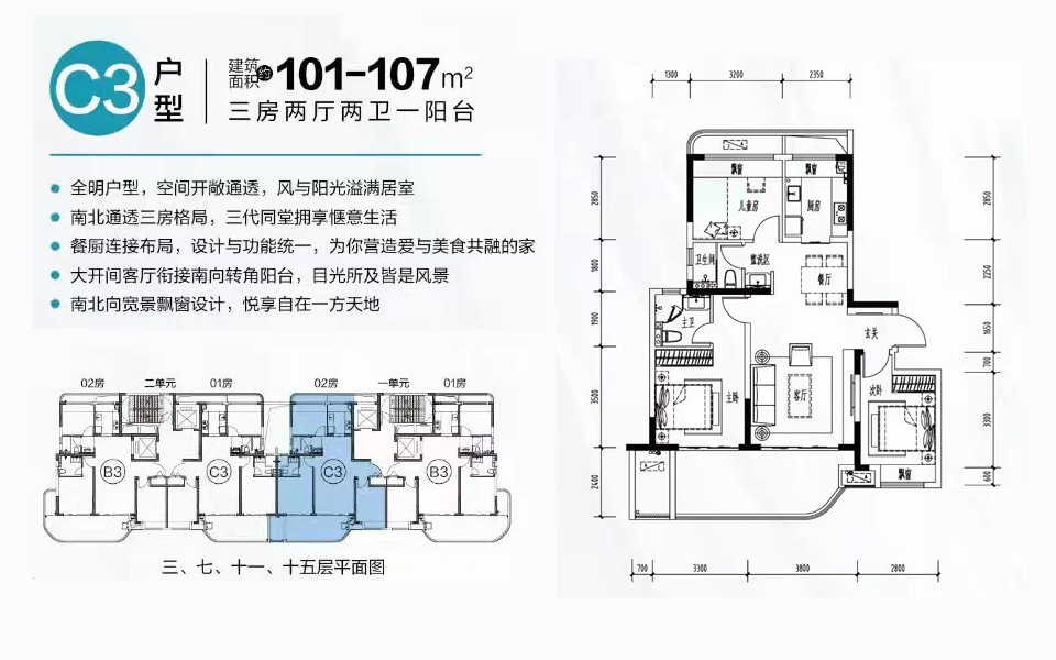 C3户型 三房两厅两卫 
