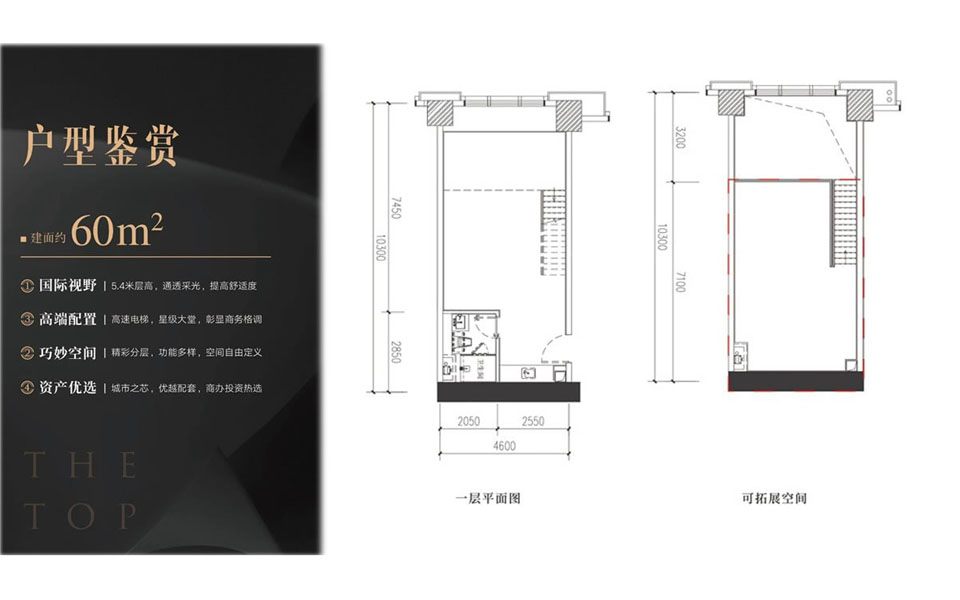 富力首府建面约60米一房两卫户型图